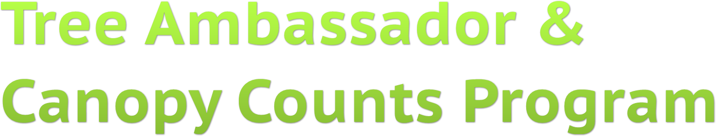 Tree Ambassador & 
Canopy Counts Program Tree Ambassador & 
Canopy Counts Program